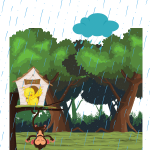 Bird with rain