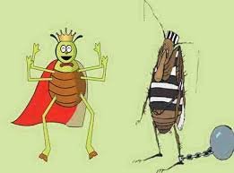 The Bug and Poor Flea