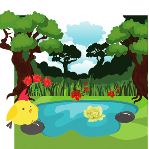 Little Bird