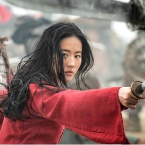 mulan compressor image