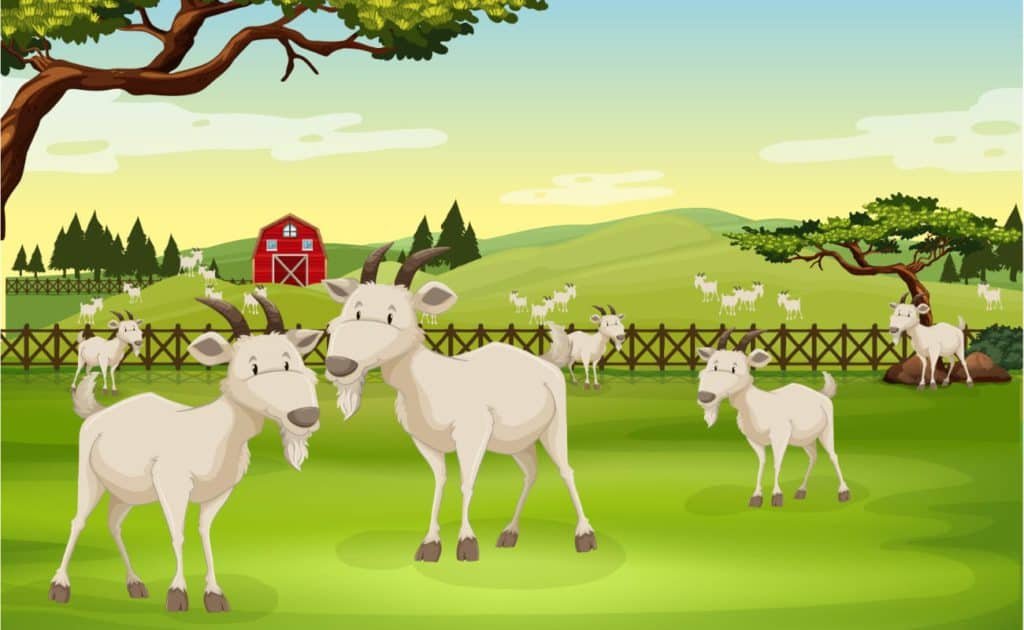 The Three Billy Goats Gruff Story