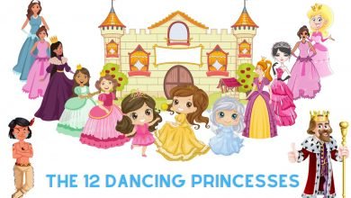 the 12 dancing pincesses