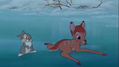 bambi the race