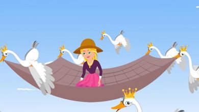 the wild swans
