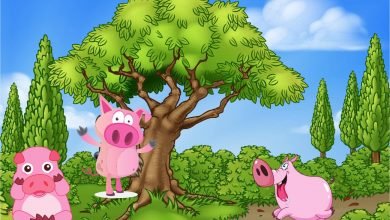 three little pigs