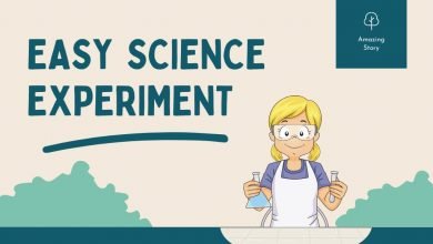 easy science experiments