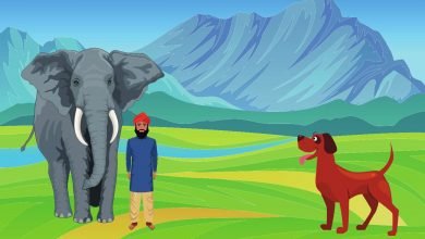 An Elephant And The Dog Story