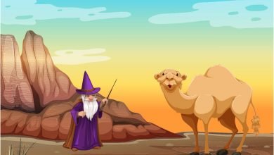 How to camel get its hump