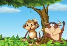 monkey on the tree story