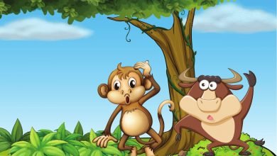 monkey on the tree story