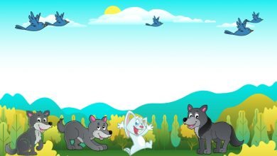 Rabbit and wolves