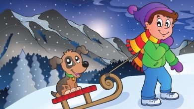 the winter snow story