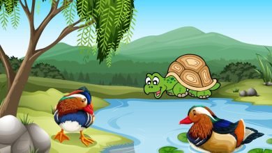 The Talkative Tortoise